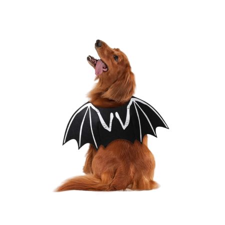 Disfraz Halloween Alas de Murcielago  Talla S