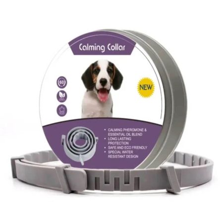 Calming collar dog